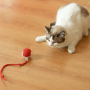 Brinquedo CrazyBall